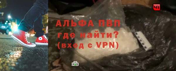 сатива Аркадак